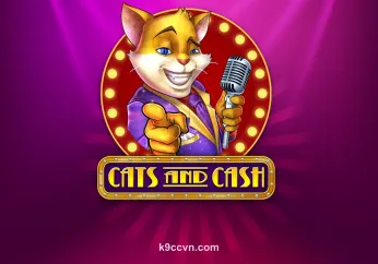 Hình ảnh Cats And Cash tại k9cc